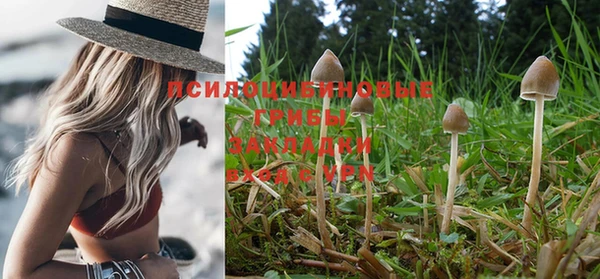 каннабис Вязьма