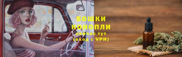 ГАЛЛЮЦИНОГЕННЫЕ ГРИБЫ Вязники