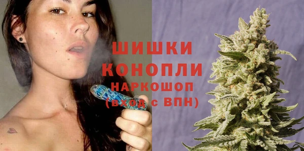ГАЛЛЮЦИНОГЕННЫЕ ГРИБЫ Вязники