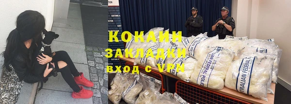 ГАЛЛЮЦИНОГЕННЫЕ ГРИБЫ Вязники